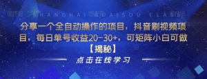 分享一个全自动操作的项目，抖音刷视频项目，每日单号收益20-30+，可矩阵小白可做【揭秘】-风淘社