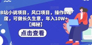 B站小说项目,风口项目,操作0难度,可做长久生意,年入10W+【揭秘】-风淘社