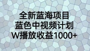 全新蓝海项目，蓝色中视频计划，1W播放量1000+【揭秘】-风淘社