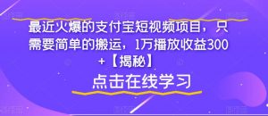 最近火爆的支付宝短视频项目,只需要简单的搬运,1万播放收益300+【揭秘】-风淘社
