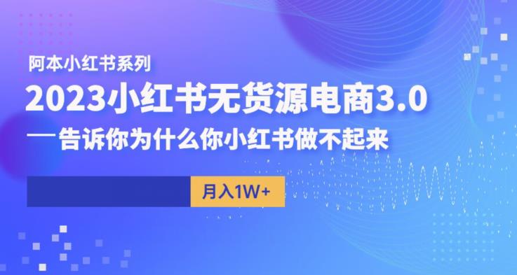 阿本小红书无货源电商3.0,告诉你为什么你小红书做不起来-风淘社