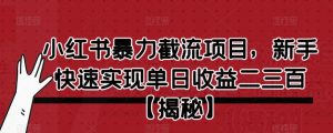 小红书暴力截流项目,新手快速实现单日收益二三百【仅揭秘】-风淘社