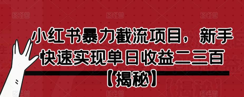 小红书暴力截流项目，新手快速实现单日收益二三百【仅揭秘】-风淘社