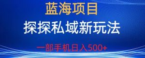 蓝海项目,探探私域新玩法,一部手机日入500+很轻松【揭秘】-风淘社