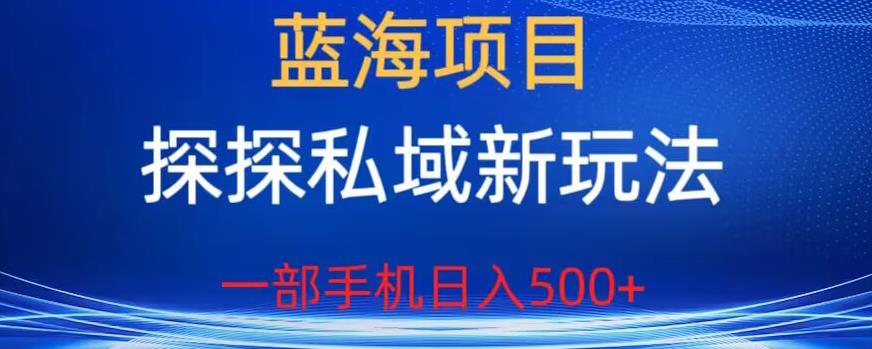 蓝海项目,探探私域新玩法,一部手机日入500+很轻松【揭秘】-风淘社