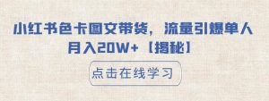 小红书色卡图文带货,流量引爆单人月入20W+【揭秘】-风淘社