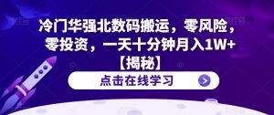冷门华强北数码搬运,零风险,零投资,一天十分钟月入1W+【揭秘】-风淘社