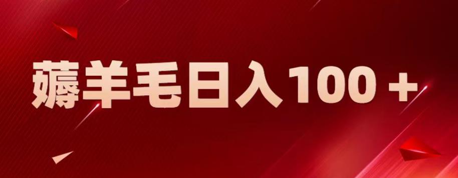 新平台零撸薅羊毛，一天躺赚100＋，无脑复制粘贴【揭秘】-风淘社