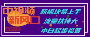 中视频新风口，新板块易上手，流量扶持大，小白起步福音【揭秘】-风淘社