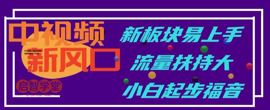 中视频新风口，新板块易上手，流量扶持大，小白起步福音【揭秘】-风淘社
