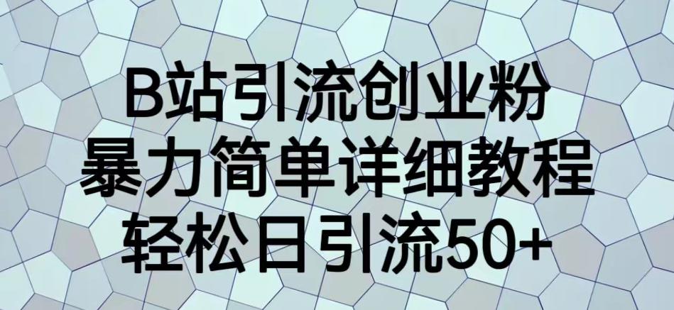 B站引流创业粉，暴力简单详细教程，轻松日引流50+【揭秘】-风淘社