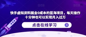 快手虚拟资料掘金0成本的蓝海项目,每天操作十分钟也可以实现月入过万【揭秘】-风淘社