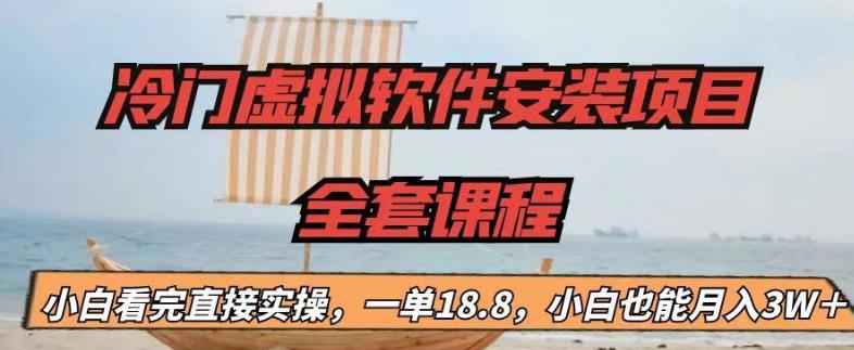 冷门虚拟软件安装项目,一单18.8,小白也能月入3W+【揭秘】-风淘社