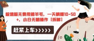 极速版无费用薅羊毛,一天躺赚10-50+,小白无脑操作【拆解】-风淘社