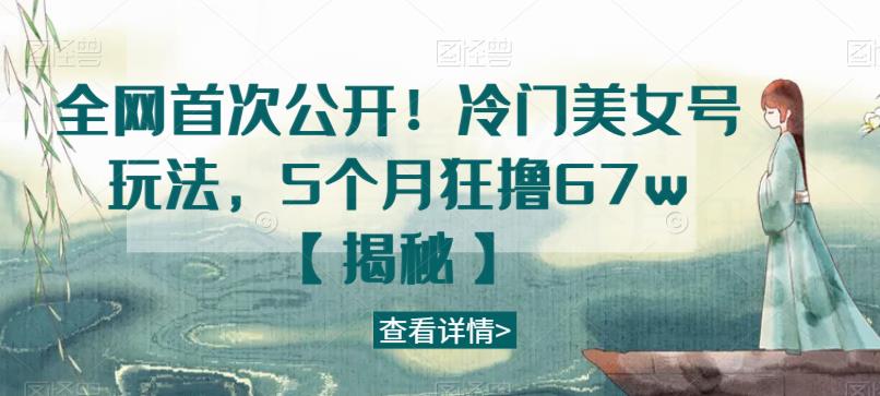 全网首次公开！冷门美女号玩法，5个月狂撸67w【揭秘】-风淘社