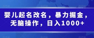 婴儿起名改名，暴力掘金，无脑操作，日入1000+【揭秘】-风淘社