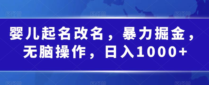 婴儿起名改名，暴力掘金，无脑操作，日入1000+【揭秘】-风淘社