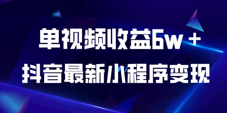 抖音最新小程序变现项目，单视频收益6w＋，小白可做【揭秘】-风淘社