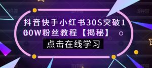 抖音快手小红书30S突破100W粉丝教程【揭秘】-风淘社