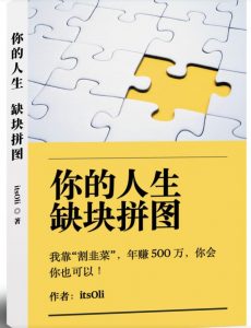 某高赞电子书《你的人生,缺块拼图——我靠“割韭菜”,年赚500万,你会你也可以》-风淘社