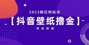 抖音壁纸小程序创作者撸金项目,2023新红利玩法【项目拆解】-风淘社