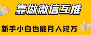 靠做微信互推,新手小白也能月入过万【揭秘】-风淘社