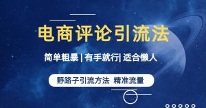 简单粗暴野路子引流-电商平台评论引流大法，适合懒人有手就行【揭秘】-风淘社