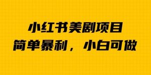外面卖1980的小红书美剧项目,单日收益1000+,小众暴利的赛道【揭秘】-风淘社