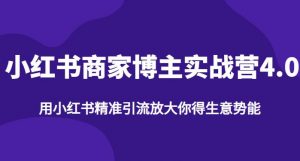 【推荐】小红书商家博主精准引流实战营4.0,用小红书放大你的生意势能-风淘社