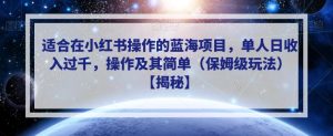 适合在小红书操作的蓝海项目，单人日收入过千，操作及其简单（保姆级玩法）【揭秘】-风淘社