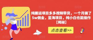 纯搬运项目多多视频带货，一个月搞了5w佣金，蓝海项目，纯小白也能操作【揭秘】-风淘社