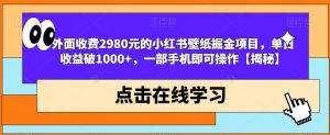 外面收费2980元的小红书壁纸掘金项目，单日收益破1000+，一部手机即可操作【揭秘】-风淘社