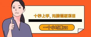 十秒钟上手,一个小时60元暴利无脑调研项目【揭秘】-风淘社