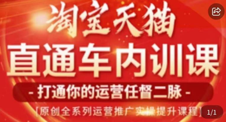 天问电商·2023淘宝天猫直通车内训课,零基础学起直通车运营实操课程-风淘社