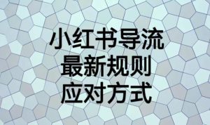小红书导流最新规则应对方式【揭秘】-风淘社
