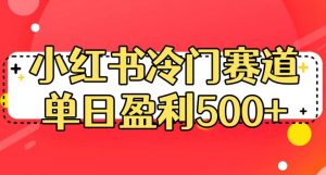 小红书冷门赛道,单日盈利500+【揭秘】-风淘社