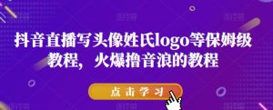 抖音直播写头像姓氏logo等保姆级教程，火爆撸音浪教程【揭秘】-风淘社