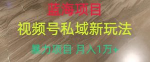 蓝海项目,视频号私域新玩法,暴力项目月入1万+【揭秘】-风淘社