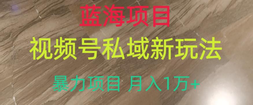 蓝海项目，视频号私域新玩法，暴力项目月入1万+【揭秘】-风淘社
