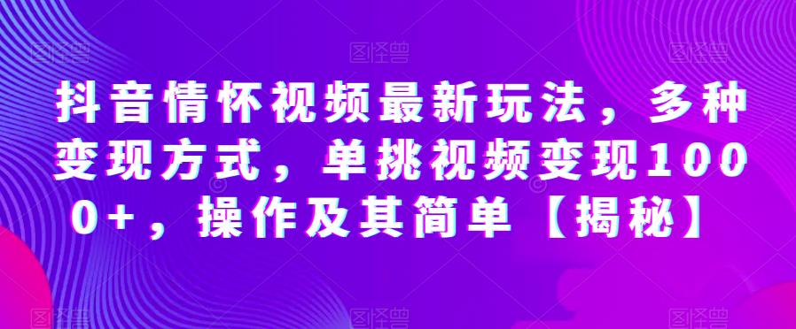 抖音情怀视频最新玩法,多种变现方式,单挑视频变现1000+,操作及其简单【揭秘】-风淘社