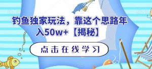 钓鱼独家玩法,靠这个思路年入50w+【揭秘】-风淘社