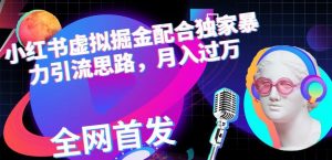 小红书虚拟掘金配合独家首发暴力引流思路,月入过万【揭秘】-风淘社
