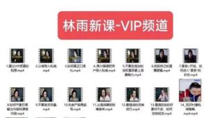 林雨新课VIP频道,玩赚私域/朋友圈/社群-风淘社