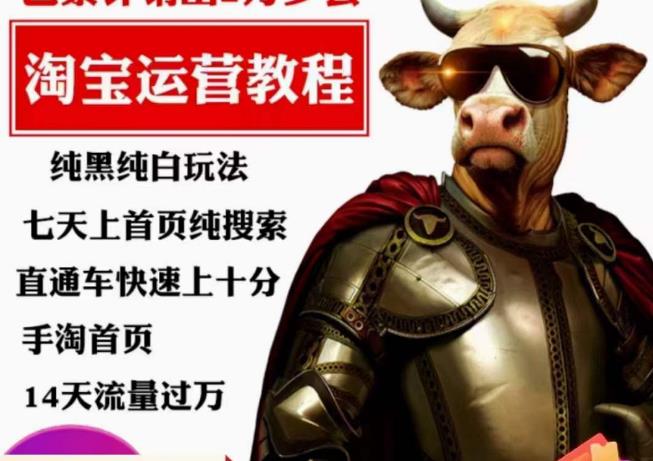 猫老师·淘系算法逆向解密，​纯黑纯白玩法，七天上首页纯搜索，手淘首页14天流量过万-风淘社
