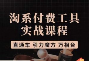猫老师·淘系付费工具实战课程,直通车/引力魔方/万相台-风淘社