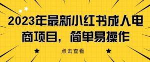 2023年最新小红书成人电商项目，简单易操作【详细教程】【揭秘】-风淘社