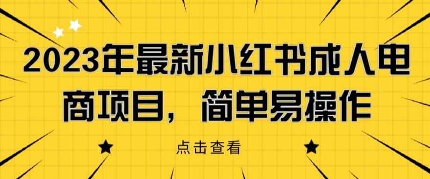 2023年最新小红书成人电商项目，简单易操作【详细教程】【揭秘】-风淘社