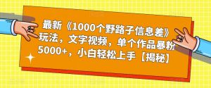 最新《1000个野路子信息差》玩法，文字视频，单个作品暴粉5000+，小白轻松上手【揭秘】-风淘社
