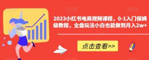 2023小红书电商视频课程,0-1入门保姆级教程,全盘玩法小白也能做到月入2w+-风淘社