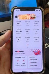 超级蓝海赛道保姆级教学,小红书无货源,无需实拍,如何做到日入1000+【揭秘】-风淘社